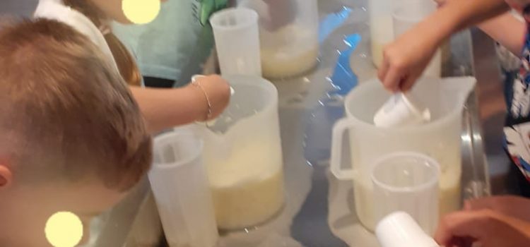 USCITA DIDATTICA: Fattoria Pasquè – Facciamo il formaggio USCITA DIDATTICA: Fattoria Pasquè – Facciamo il formaggio